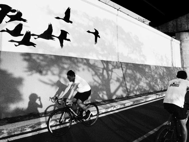 Photo de rue en noir et blanc de personnes se croisant à vélo devant un mur ou sont peint des oiseaux et ou se reflètent des ombres d'arbres sur une piste cyclable à Taipei, Taiwan.