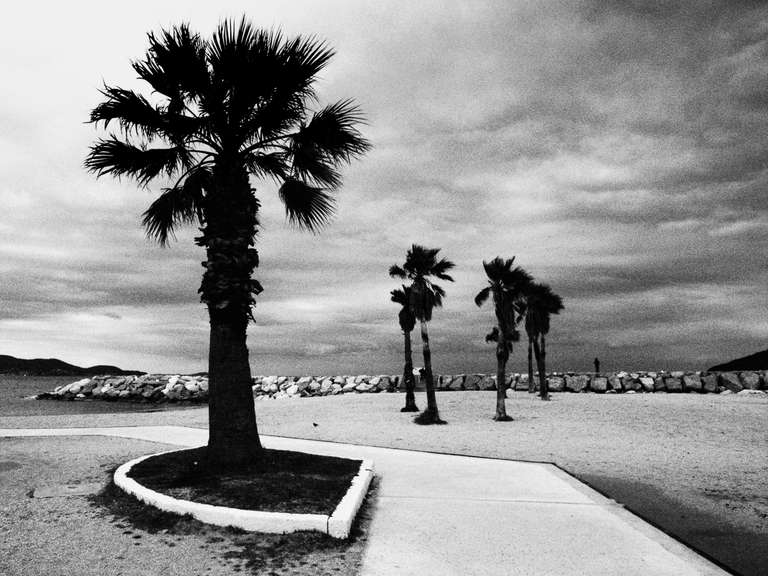 Photo de rue en noir et blanc de palmiers sous un ciel nuageux avec une silhouette au loin sur une digue du Mourillon à Toulon dans le sud de la France.