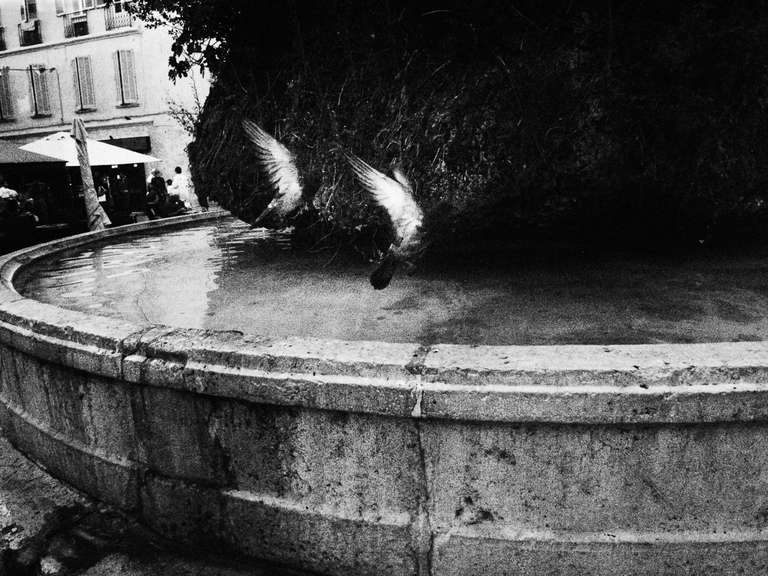 Black and white street photography. A picture of two pigeons flying away on top of a fountain in Toulon, south of France.