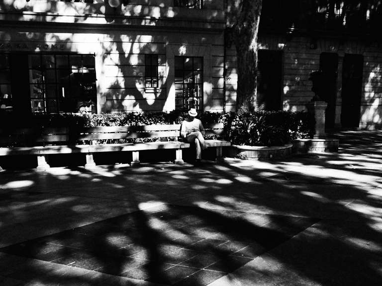 Black and white street photography. A picture of a man on a bench, under trees in a street of Palma des Mallorca, in Spain.