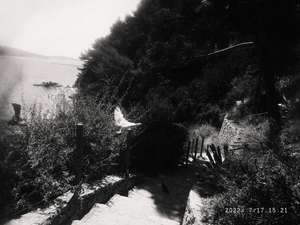 Black and white picture of a bird flying over a path leading to a cove in Toulon, south of France.
